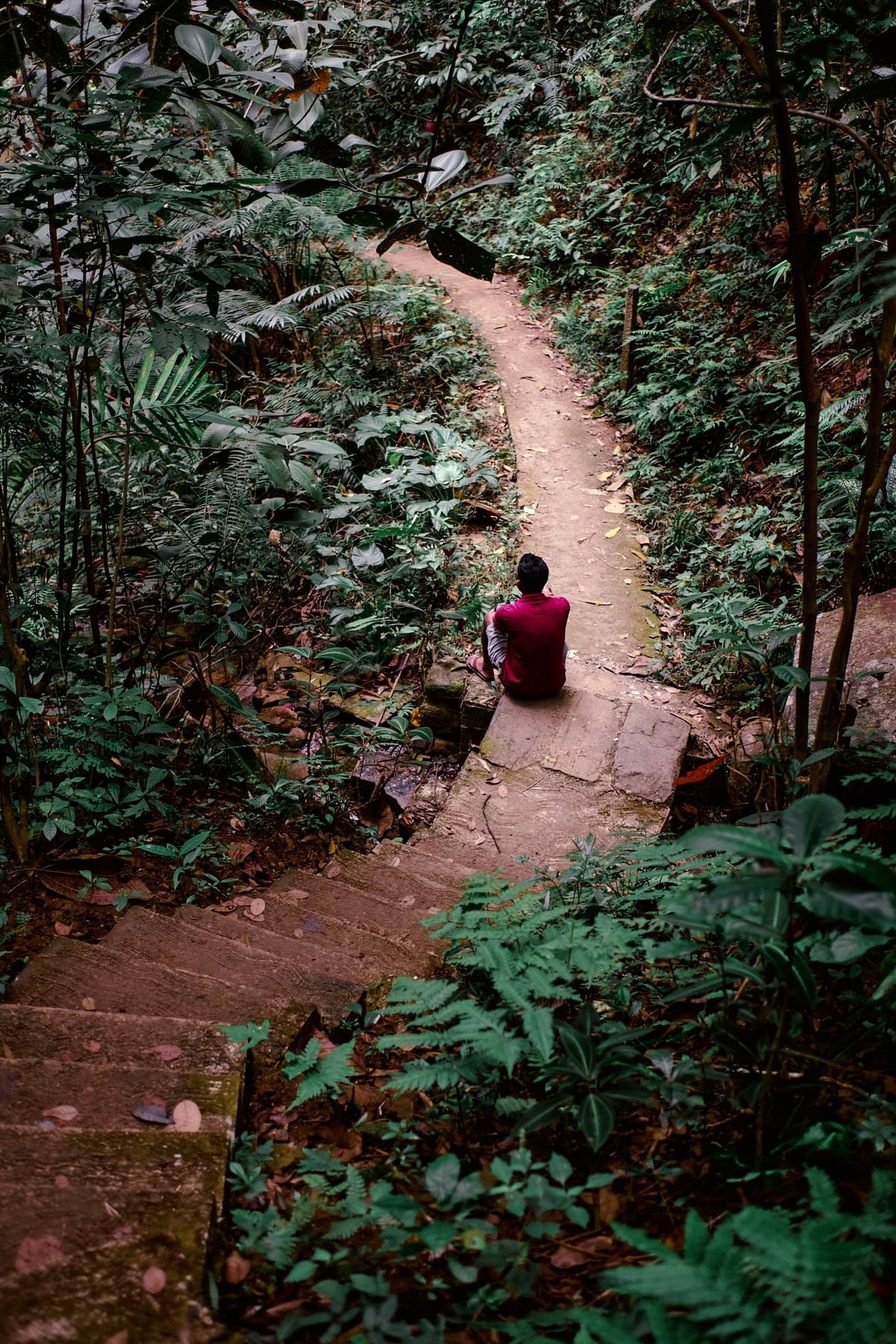 The Cost of Tea — Sri Lanka — frame